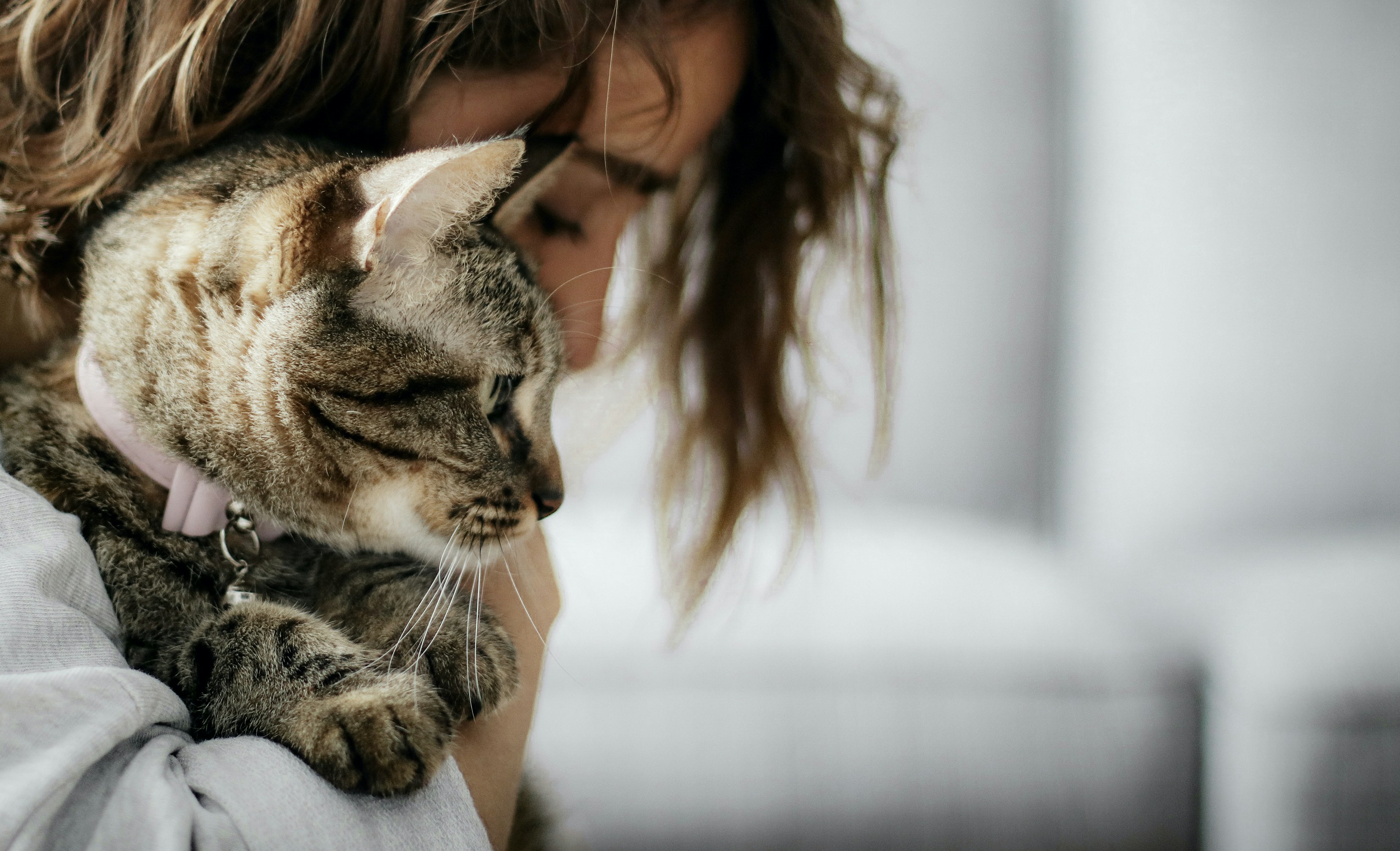 Animal Contact